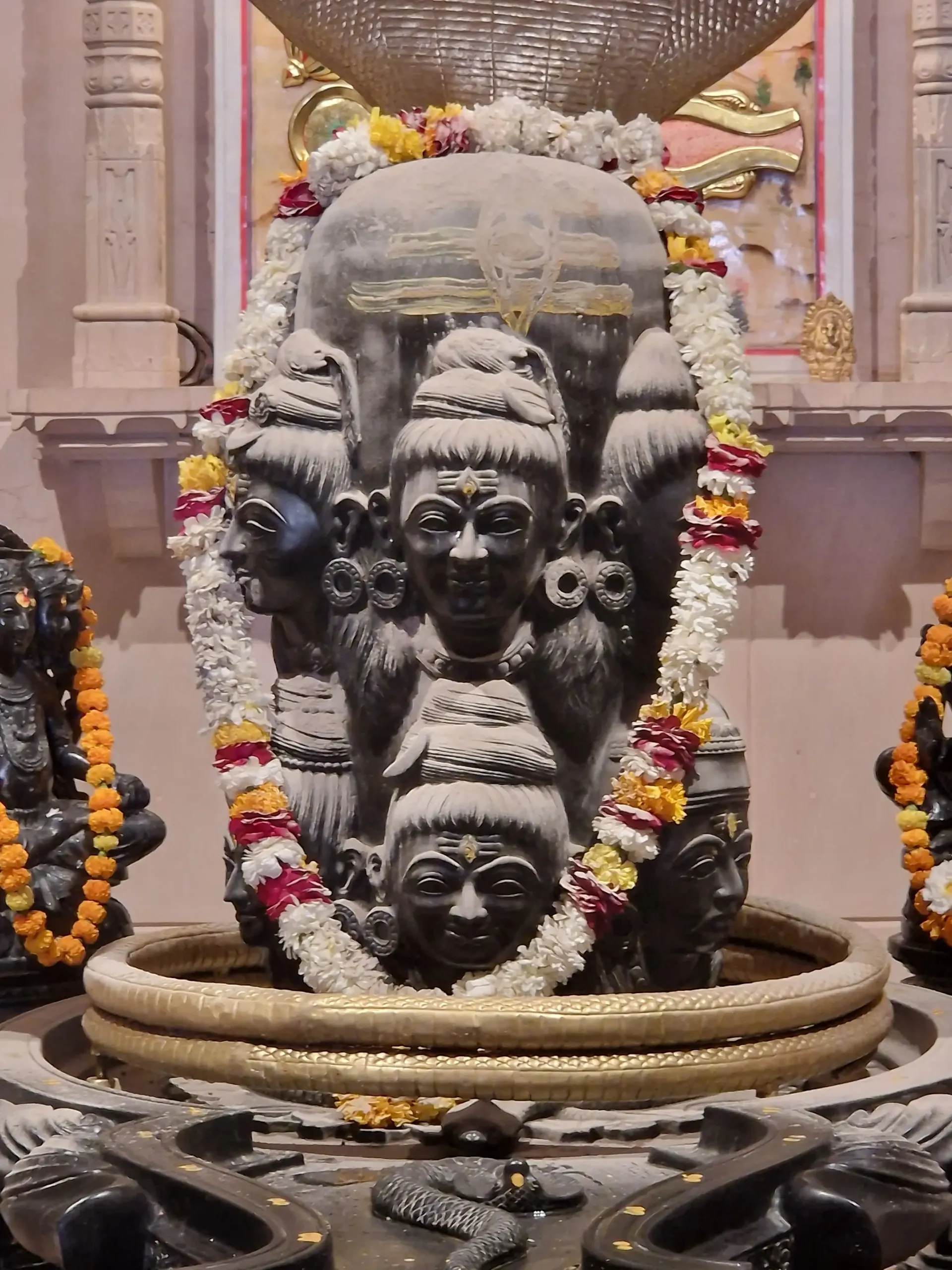 first-anniversary-of-om-ashram-opening bodyImage